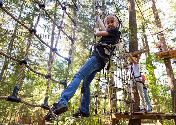 Topparken - Veluwe 4*